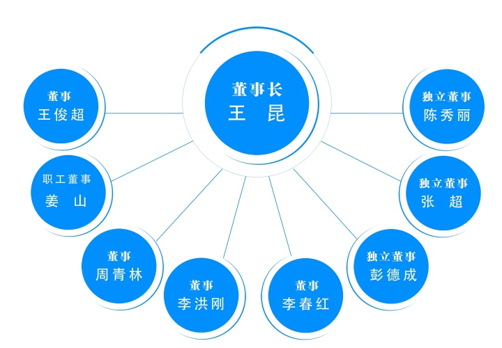 公司董事結構-2025(1).jpg